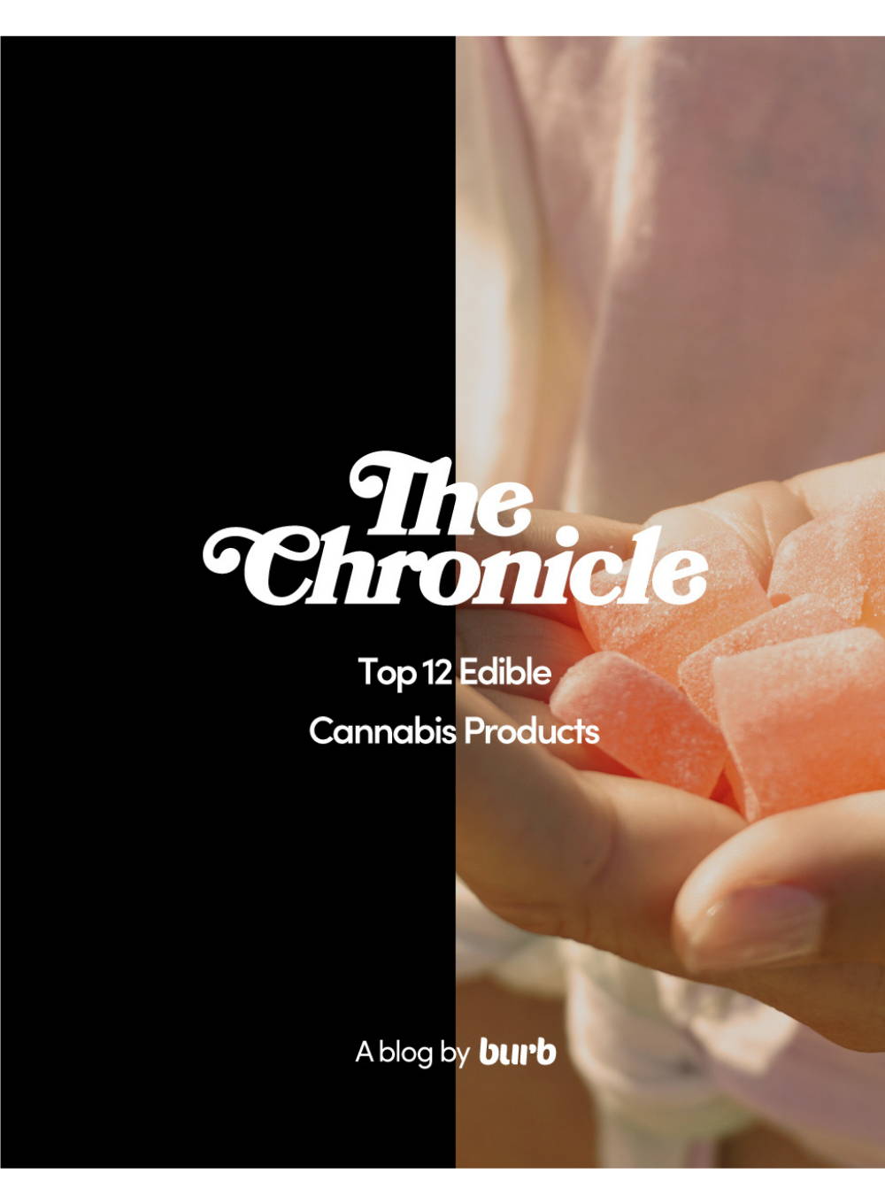 Top 12 Edible Cannabis Products