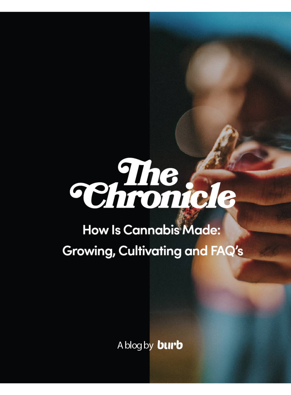 How Is Cannabis Grown?